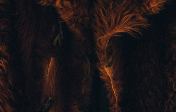 � ����-��� ��������� ����������� ������� ����