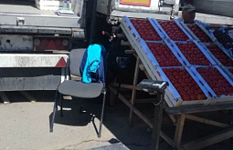 � �������� ���������� 20 ���� ��������� ������� 