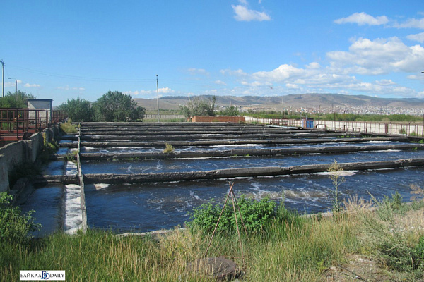 ������ ����-��� ��������� ������ ������� ���� ������������� � �����������