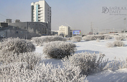 �� �������� � ������� ������ ����� �� -49