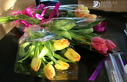 ����-������ ������������ ��������� �������� 