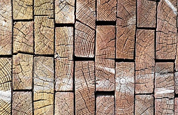 �� ������� � ����� ���� �� ��������� ������������ � �������������� 