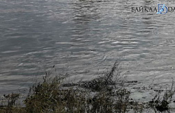 � ���� � ������ ������� �������� ����