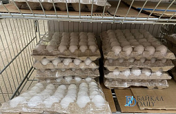 �� ������� ������� ������ �������� ������ � �����