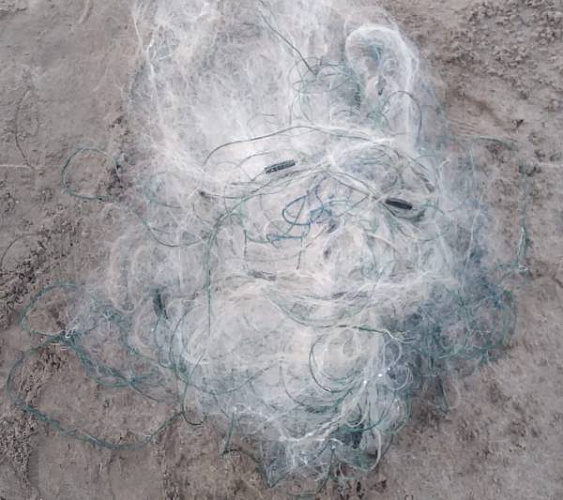 � ������� ��������� ����� ����� 70-�������� ����� 