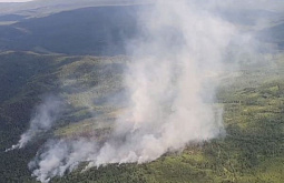 � ������� ������ ������� ��������� ����� 100 ������ ������� � ���� ���� 