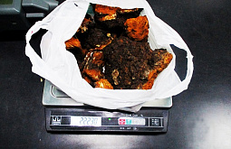 ��������� ������� ������ �� ������� ����