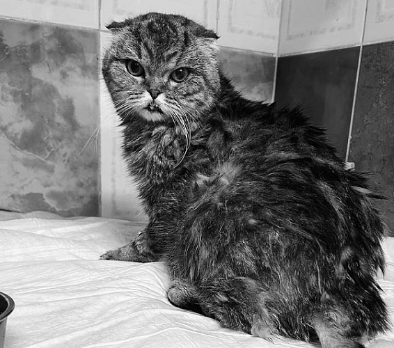 � ����-��� ���� ���������� ����� � ����� ������� �������