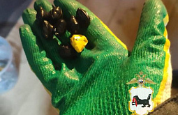 � ��������� ������� ��������� �����������, ���������������� ����� � ���������� �������