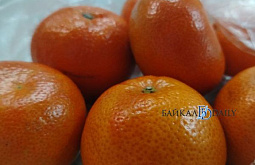 ������� ������� ���� ������ �� ������ ���������� 