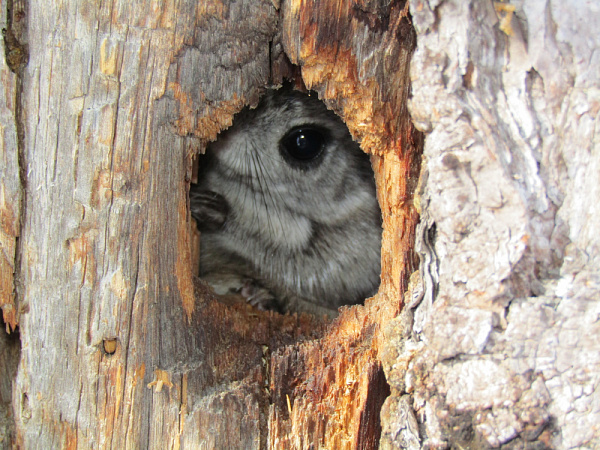 � �������� � ������� ������� ����������� �����-������ 