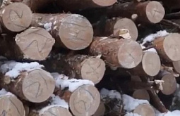 �� ������ ����� �������� ������������ ���������� �������������� ���� 