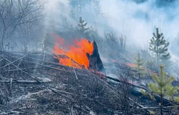 � ������� ����� 3,8 ����� �� ���� 