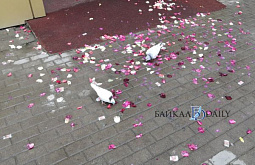 � �������� ������ � ��� ������-��������� ������� �� �������� �� ������� ���� �������