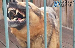 �� ������ ������� ������ ������ �� ������� � ��������