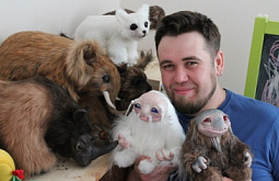 ����-������ ���� ���������� ������� �� �����