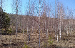 ������ ������� ������� �������������� �� ����� 