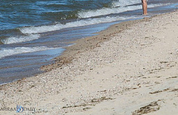 ��������� ���������� �������� � ��������������� ����������