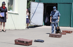 � ������� ������ ������������ ����� ��������� �� ���������� �������� (����)