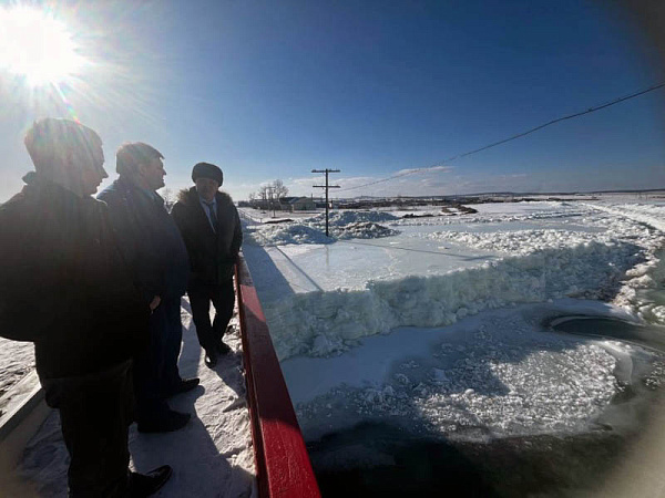 � ������� ����������� ������ �������� ���������� �������� � ����������� ������