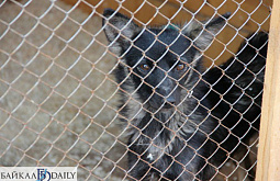 � ������� ��������� ����� ������ � ������ ������