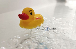 � ����-��� ������������ ����������� ����� ����� ������������ ������ 