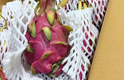 � ��������� �������� ���������� ������������ ��������� �� �������� 