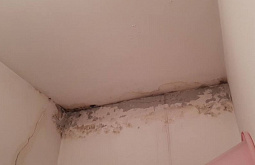 ���� ��� �����-����� � ����-��� ��������� �������� 