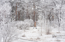 ��������� ������� ��������� � �������� �������