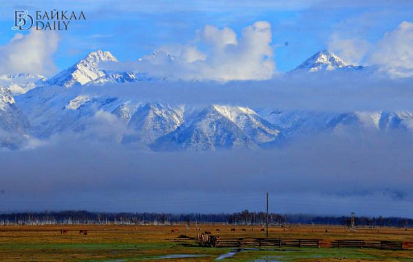 ��� ��������� ����������� ����� ������������ ����������� �������