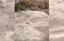 ����-������ �������� ����, ������ � ���������� � ����� ����� 