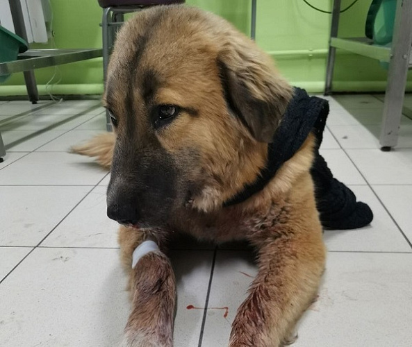 � ������� ������ ���������� ������ � ������ � ������