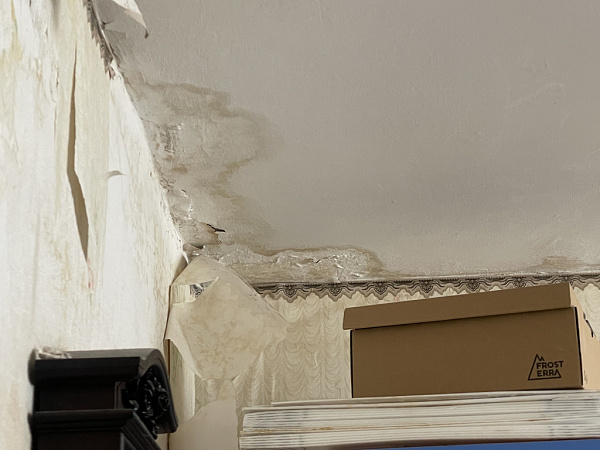 � ���������� ����� 10 ������� �������� ��������