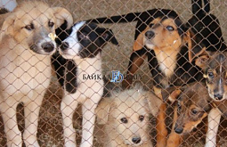 � ��������� ������ ������� �������� ����� ��� ��������