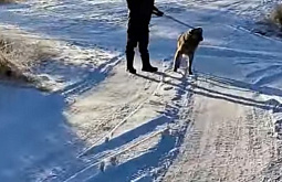 � ������� ������ ������������ �� ��������� ��������� �� ��������� ��������� �����