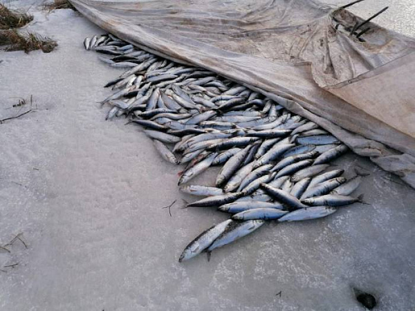 � ������� ����� ������ � ������ �� 28 ��������� 