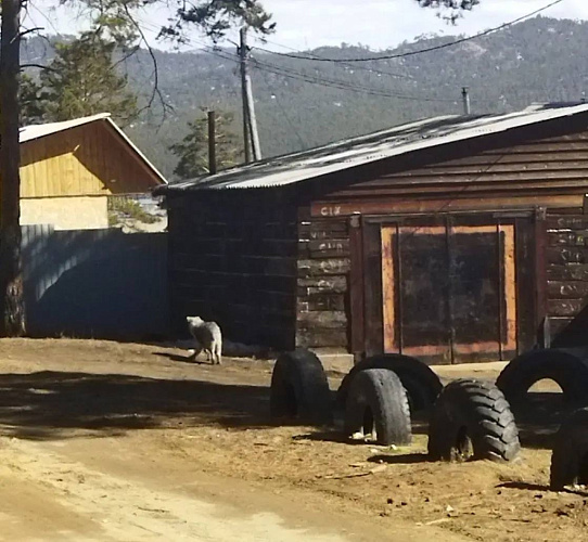 � ������� �������� ������ ������� ������