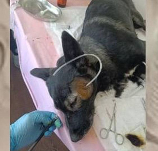 � ��������� ������� ����������� ������� ������ �� �������� � ������ ������ 