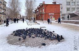‎В Бурятии пообещали холодный декабрь