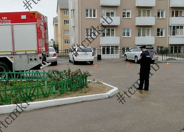 ����-������� �������� ��������� ����� �� �����