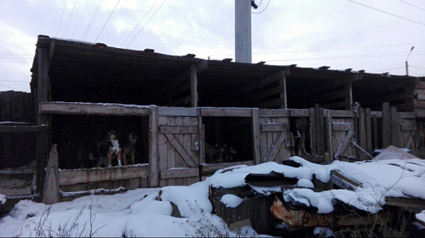 ����������� ����-������ �� ������ � 9 ����� �������� ����� �� 100 ��������� 