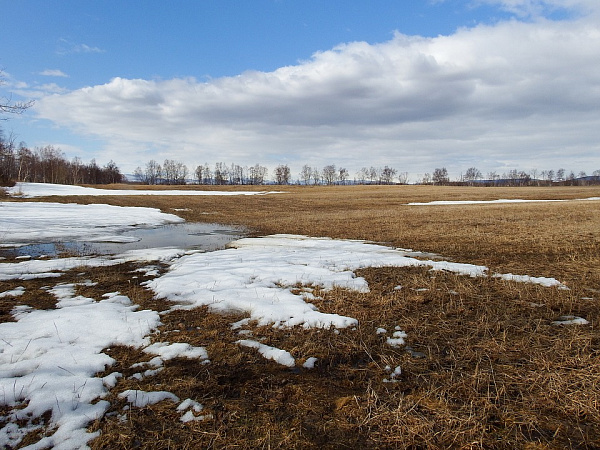 � ������� ������ ���������� �� +15