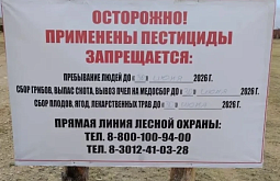 � ������ ������� �� ����� ���� ������� ���