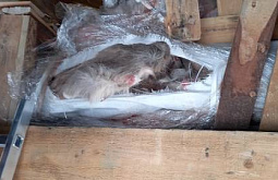 �� ������������ � ����-��� ����� ������ ����� ��� ����������