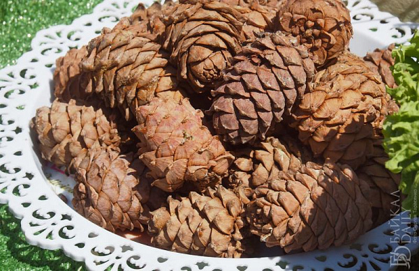 ������� ������� ����� ������ � ���� �� �������