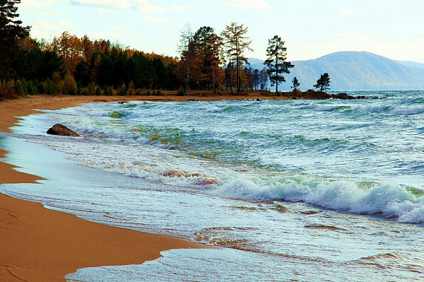 � ������� �������� ����� ��� ������ �� ������������ ����������� ���� 