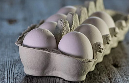 ����� ����-��� ��������� 1,5 �������� ��� � �������� 