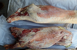 �� ������� ������� �� ���������� 100 ��� ��� 