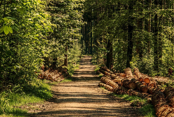 � ������� ������� ������� ��������� ����� �� 90 �����