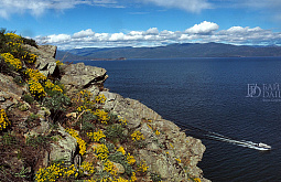 � ������ �������� ���� � �������� �������